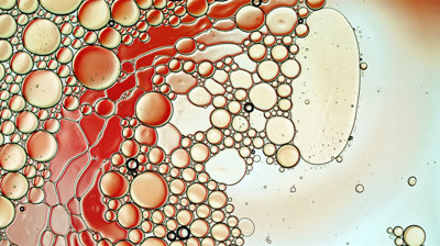 ACCONON® SURFACTANTS