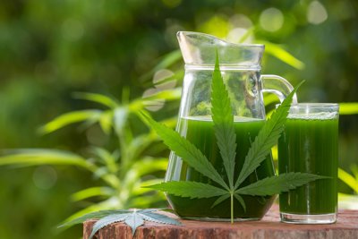 Formulating CBD Drug Delivery Systems with Functional Lipids